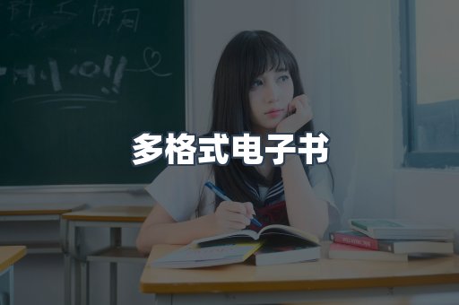 多格式电子书